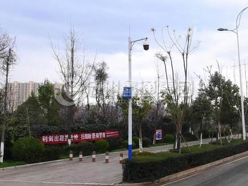DJG-025，電子警察桿，治安監(jiān)控桿